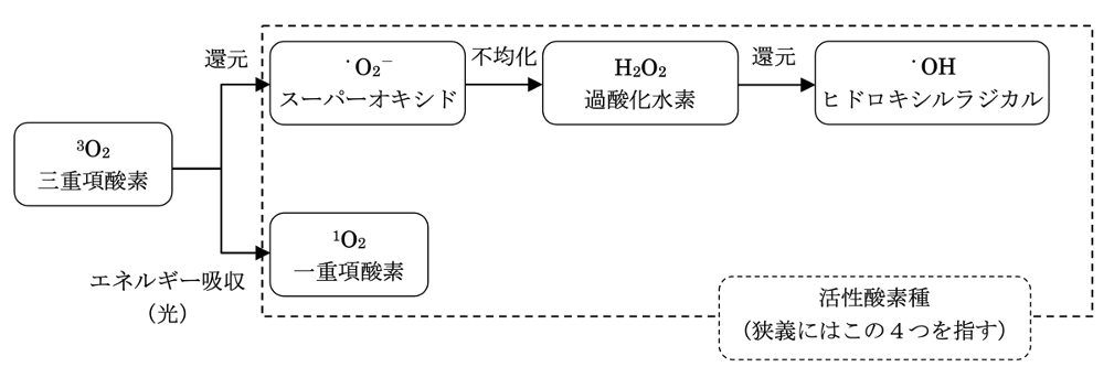 解説画像